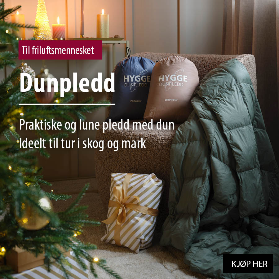 Dunpledd